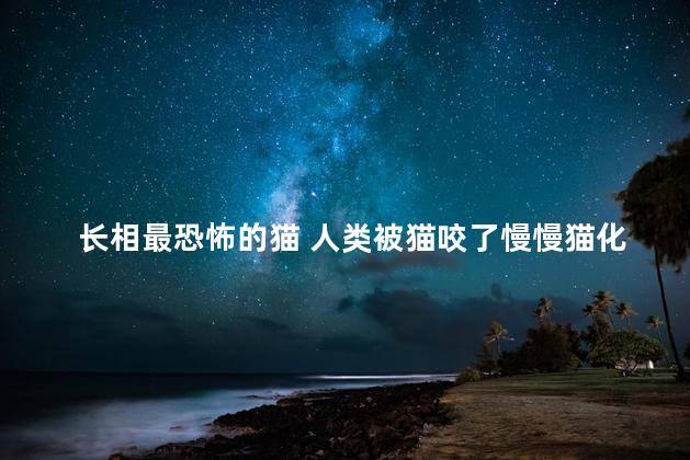 长相最恐怖的猫 人类被猫咬了慢慢猫化